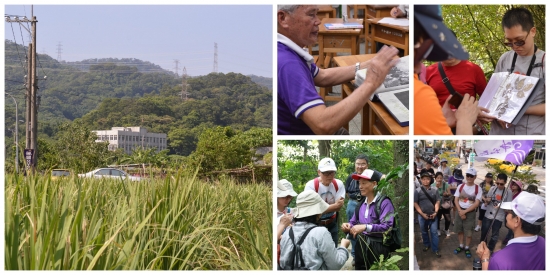 新中和組圖