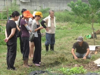 陳老師示範將雜草舖在菜畦上